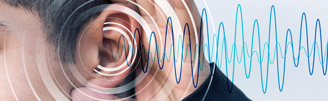 banner-audiologia Audiología